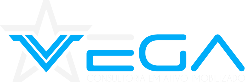 Vega Consultoria em Ativo Imobilizado