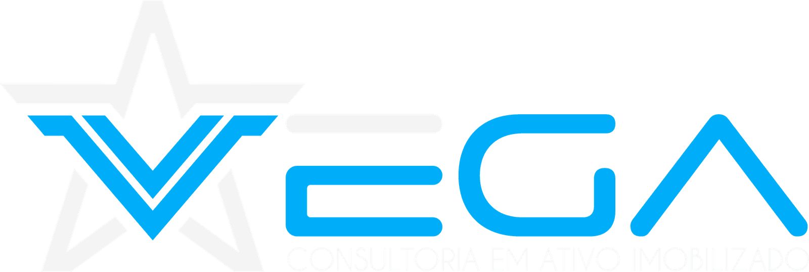 Vega Ativo Imobiliza