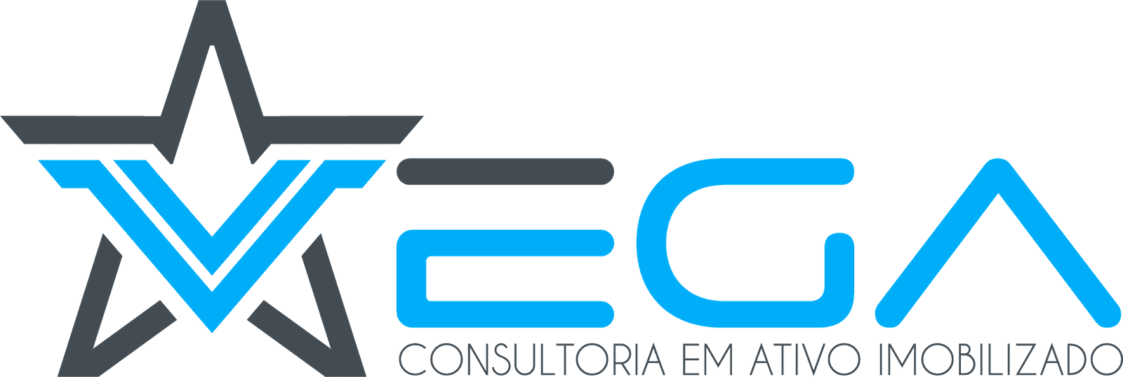 Vega Consultoria em Ativo Imobilizado